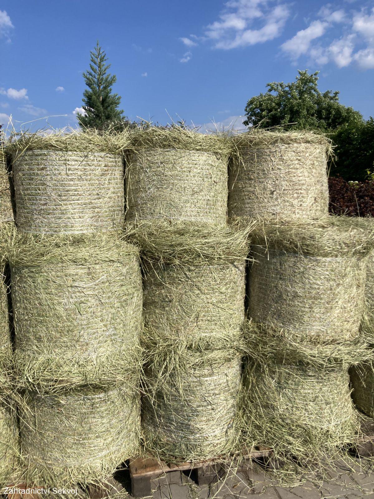 Seno - kulatý balík průměr 60 cm